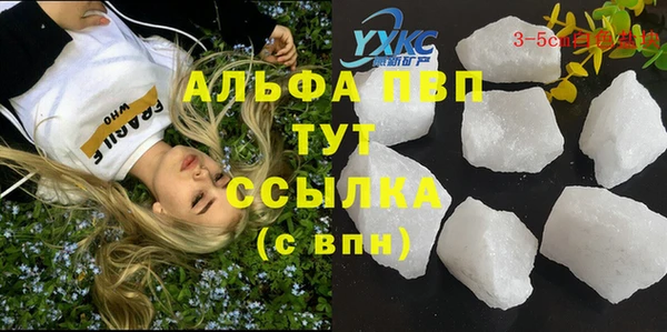тгк Алзамай