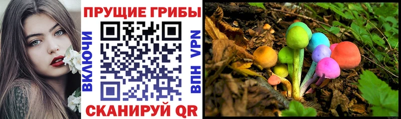 Псилоцибиновые грибы мицелий  darknet телеграм  Западная Двина 